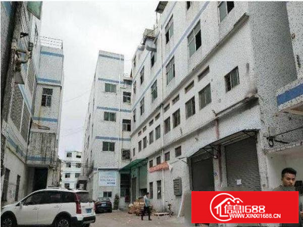 镇隆新出2700平米经典小独院厂房招租中