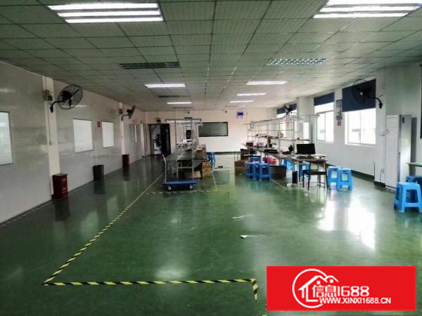 惠阳秋长原房东带精装修厂房实际面积1300平出租