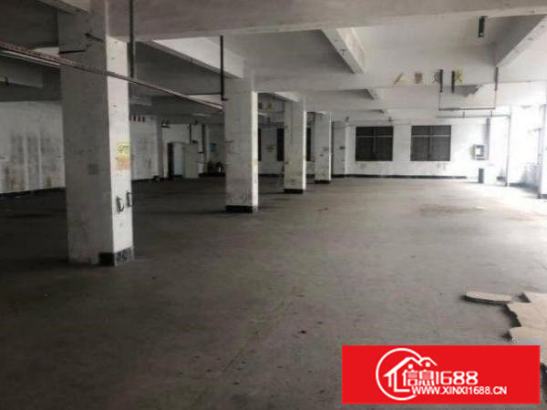 良万俊隆700平方带装修厂房出租，可分