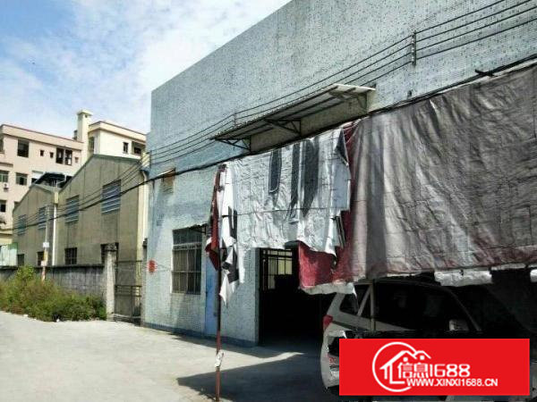 横沥镇贝涌村新出单一层2000