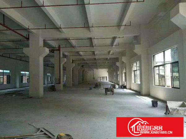 出租龙岗区嶂背工业区标准1楼950平方！带牛角！