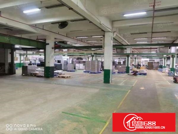 油甘埔独院厂房低价出租