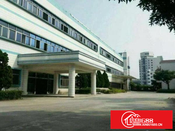 大岭山镇杨屋新空出标准厂房1到3层4500平方出租