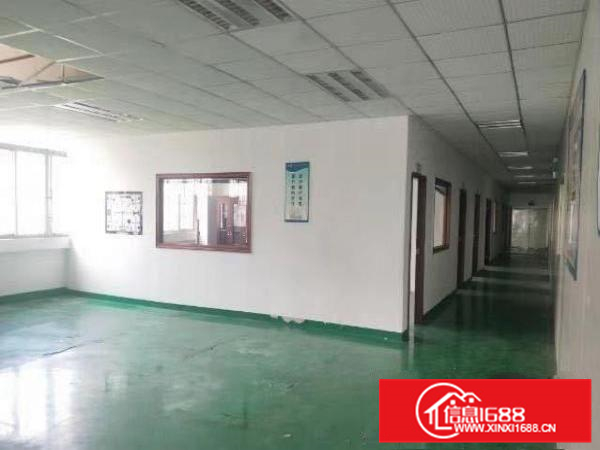 仲恺潼湖标准单一层厂房1300平米出租（可分租）