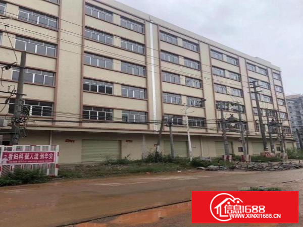 花园式独院厂房出租！工业用地大面积多层可分租，可办环评