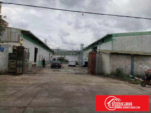 常平独院钢构出租面积1700平租金实惠行业不限欢迎实业老板来