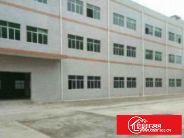 万江花园式厂房分租一楼800平方;价格便宜地段好