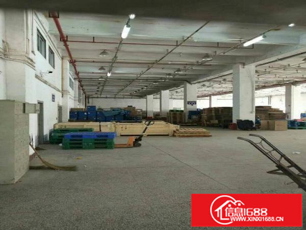 布吉上水径独门独院1480平标准厂房