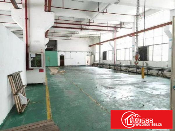 桥头镇原房东标准独院厂房一楼，带牛角，拎包就可以直接投入生产