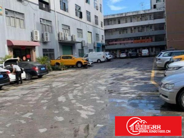 厂房出租过来看！观澜观湖街道环观中路厂房一楼1300平出租