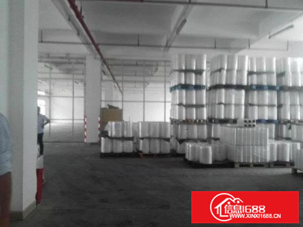 桥头一手原房东独院标准厂房660平方出租，带水电