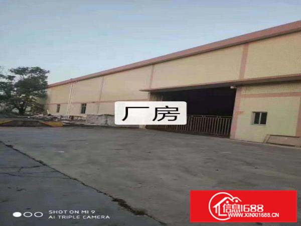 高埗新出原房东独门独院单一层厂房21000方