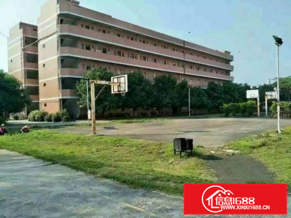 清溪渔梁围厂房1000平6米高一楼原房东招租