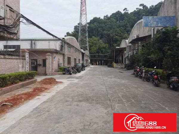 大塘村砖墙到顶单一层3700平厂房出租可分租交通便利