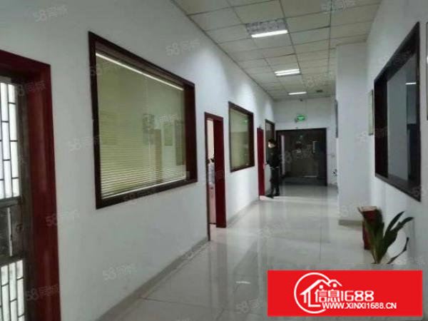 公明下村一手房东独院出租3层3600平高度6米可分租