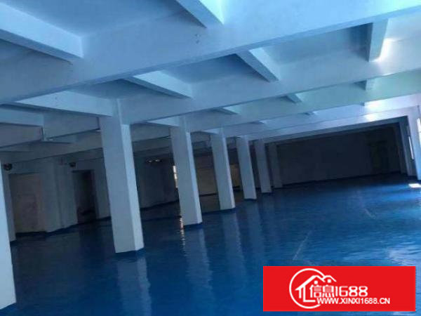 横岗安良电商产业园。900平方出租。精装修。