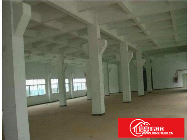 凤岗镇塘沥新出一楼550平方带装修空地大厂房出租