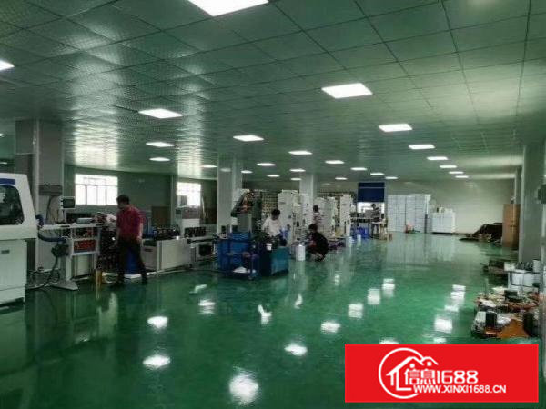 出租大朗镇洋乌分租一楼1000平方，有无尘车间
