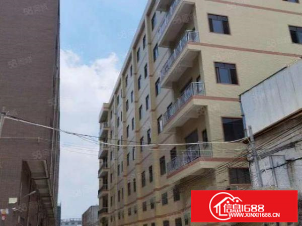 龙江15600方全新厂房出租可分层租