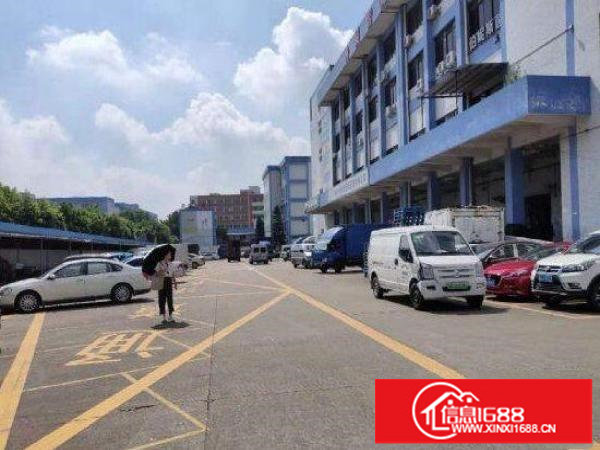 坂田和磡村业主分租一楼厂房1000方，带装修