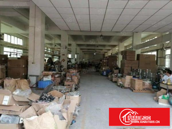 石排标准厂房出租，有土地证，工业厂房，具有消防栓和喷淋!