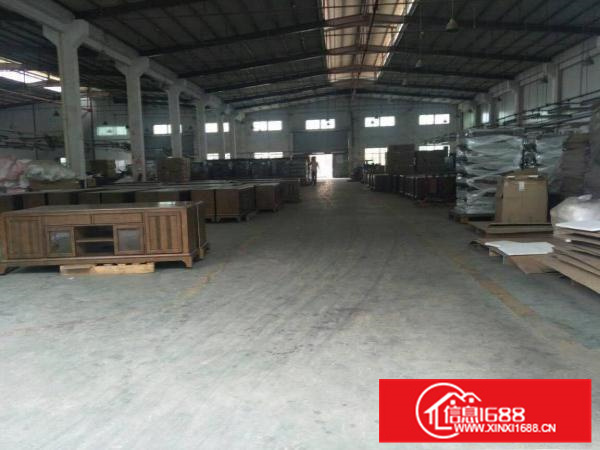 单层12000平米有三栋（可分租）