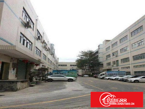 坂田原房东厂房1楼1000平2楼3000平出租可分租