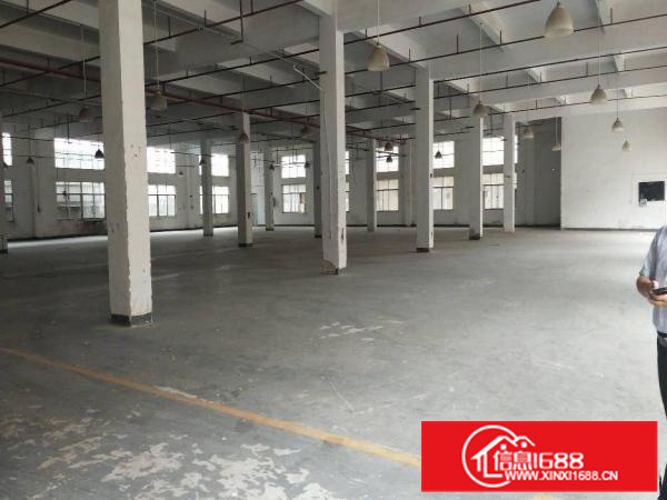 惠阳秋长新塘标准厂房招5000平米一楼高5米可分租