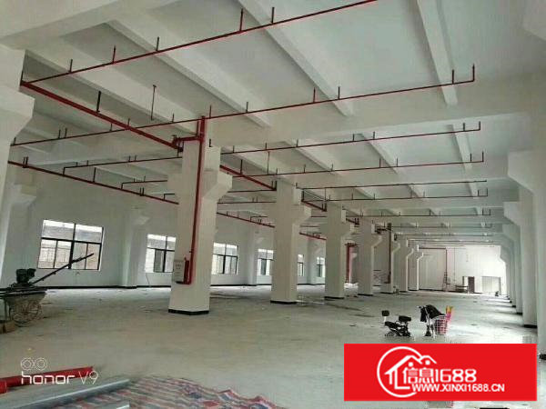 大坪靠深圳四黎路边独院带消防喷淋出租可分租