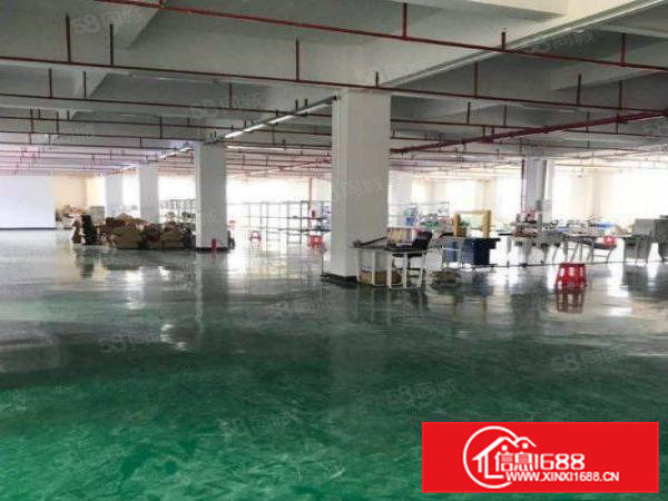 连平村空出原房东独门独院1~3层4000平厂房出租可办环坪