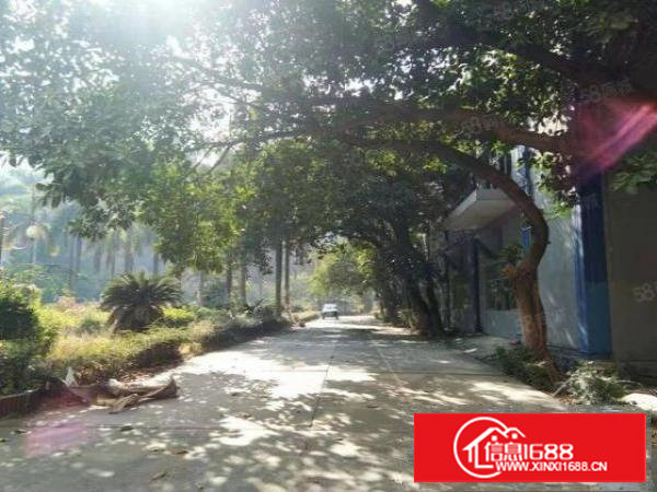 长安宵边新出单一层6000平方，带有3吨货梯水电齐全豪华装修