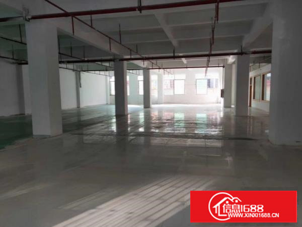 塘厦石马新出原房东豪华装修带环评一楼350平厂房出租