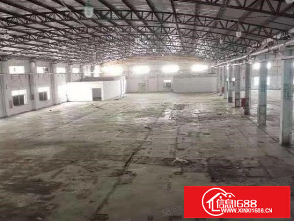 可做仓库，中转仓，快递钢构厂房1300平方，空地大松岗碧头