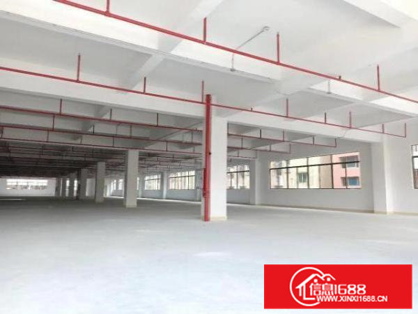 凤岗金凤凰楼上全新消防喷淋厂房出租2250平