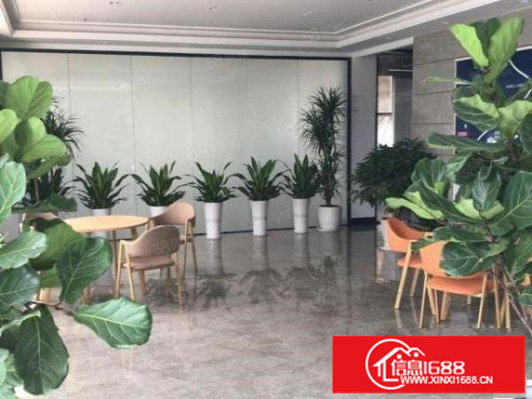 临近罗湖小型电商办公室出租，红本可注册
