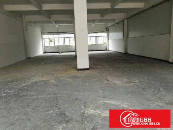 出租惠阳新墟标准一楼5.3米高550平方厂房