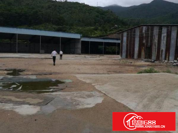 东莞清溪废品打包破碎单一层钢结构厂房出租3500平