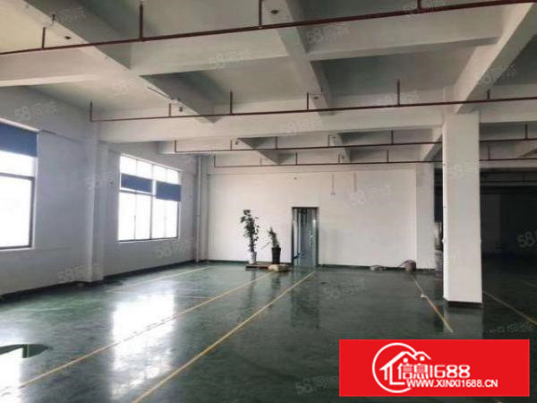 大朗镇石夏楼上800平方精装修