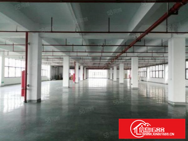 独门独院带现成办公，龙江工业区5000方标准厂房带地坪漆展厅