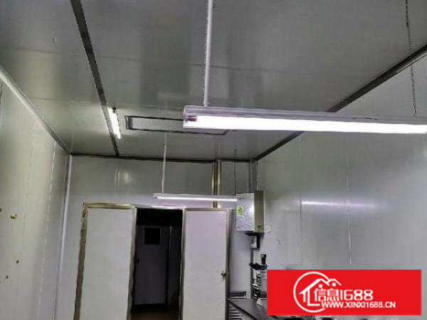 大浪商业街临街精装修600平无尘车间