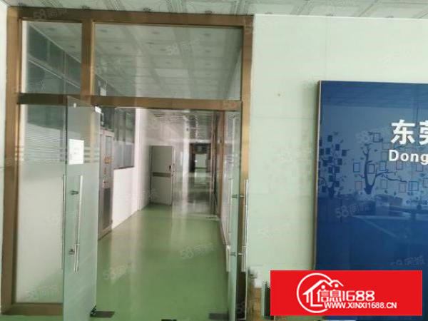 寮步镇两层独院标准厂房出租带无尘车间现成办公室空地大