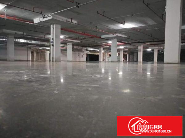 厂房出租独栋厂房4500平方米标准厂房招租