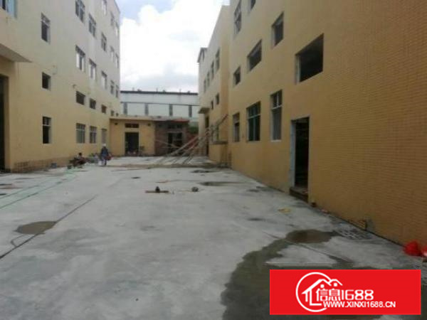 丹灶镇全新两层标准厂房2400平低价出租