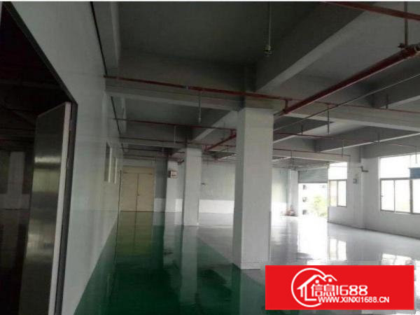 横沥田饶步原房东标准厂房一楼550平方出租