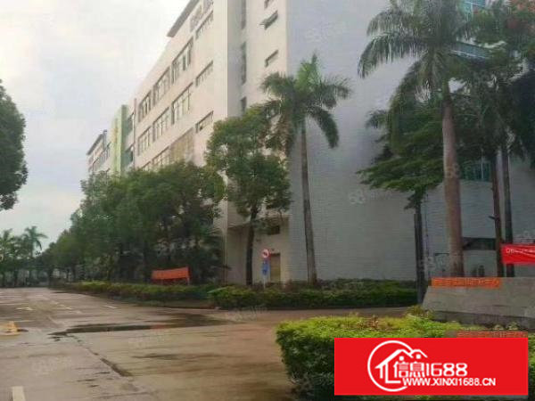 深圳200平起分租坪山坑梓街道园区标准厂房仓库业主直租整租分