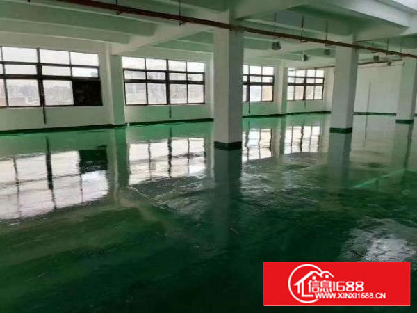 沙井后亭新出楼上1500平精装修厂房价格实在