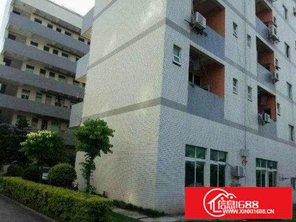 平湖辅城坳工业区一楼标准厂房1000平米精装修招租