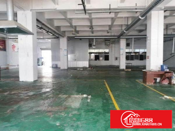 塘厦莲湖独院一楼500平米标准厂房出租，面积实在，水电主线到