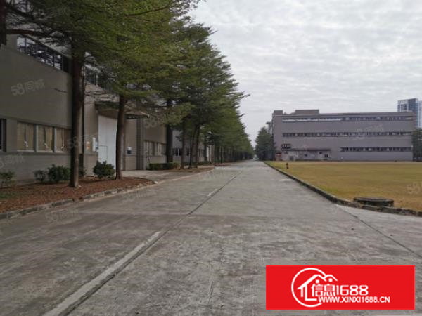 独院单一层6万平钢构厂房，滴水12米，国有工业用地现成环评