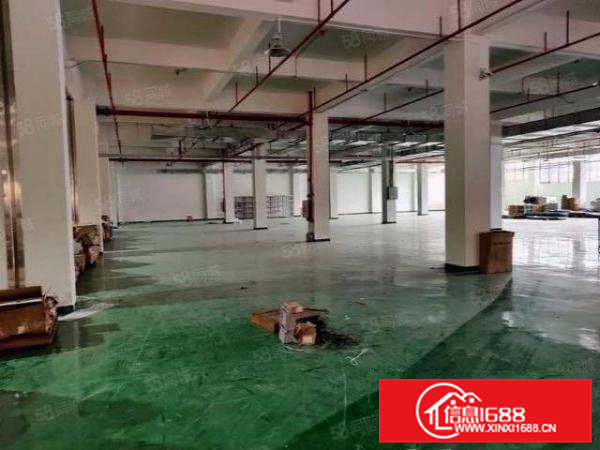 大朗蔡边新出二楼1000方厂房，10元，有装修，可分租